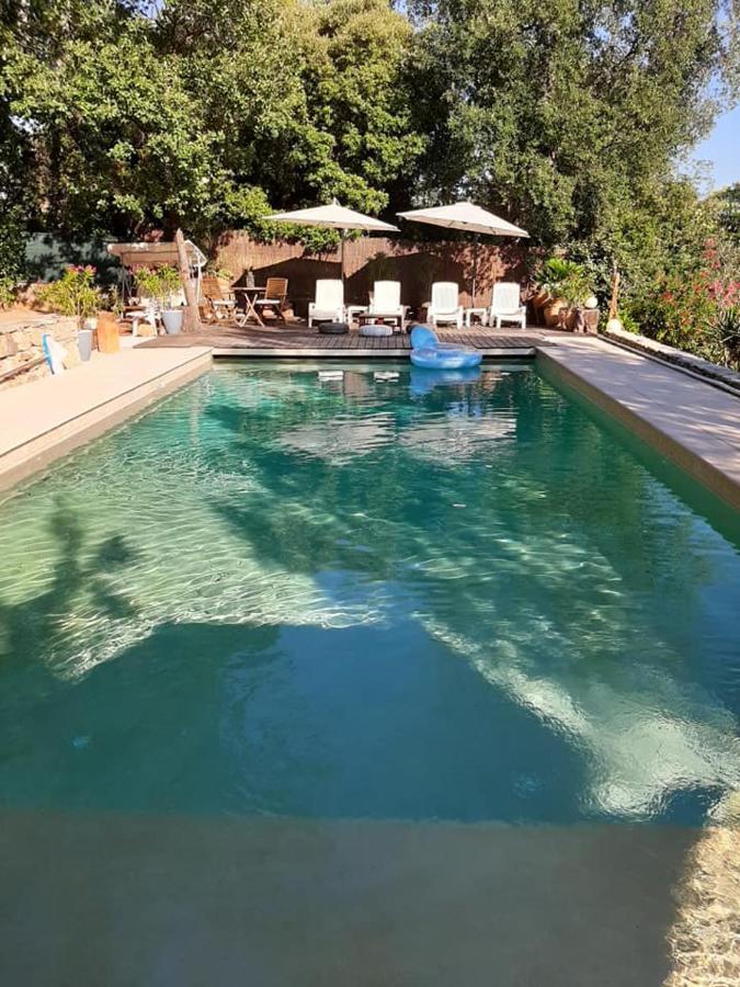 Mas Provencal Au Cannet Des Maures لو كانيه-دي-مور المظهر الخارجي الصورة
